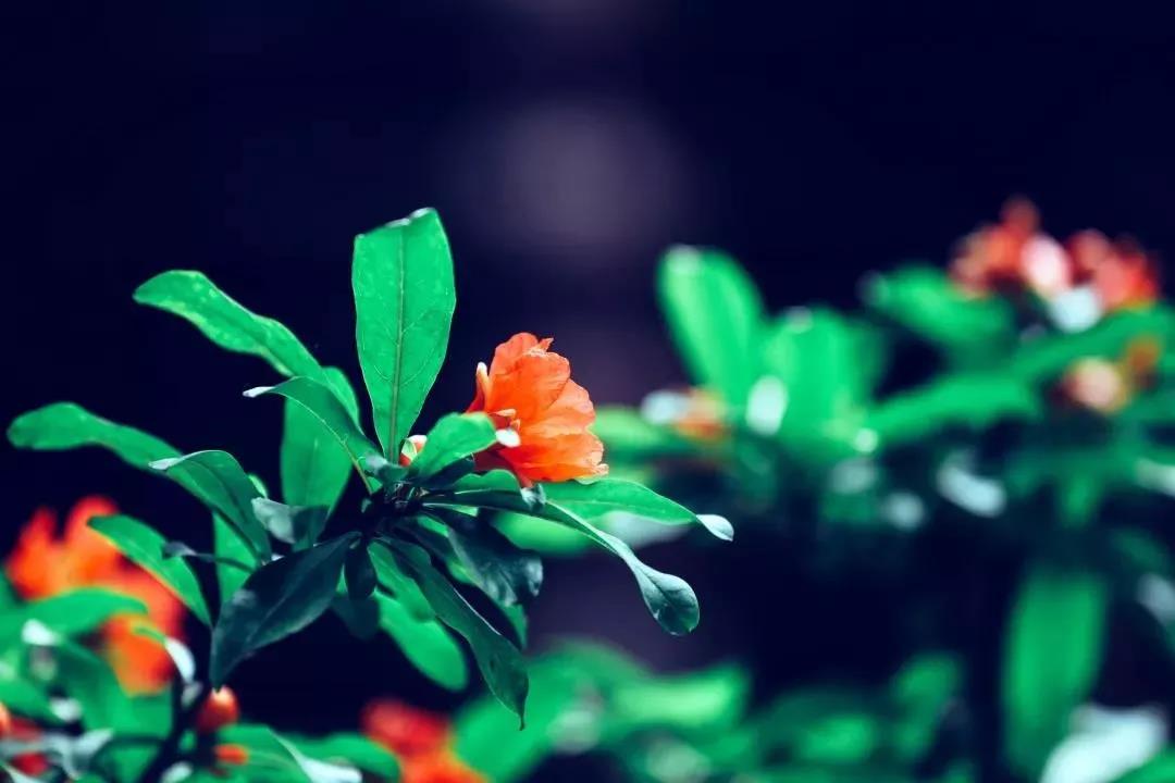 ������������Ҹ������ֵķ���