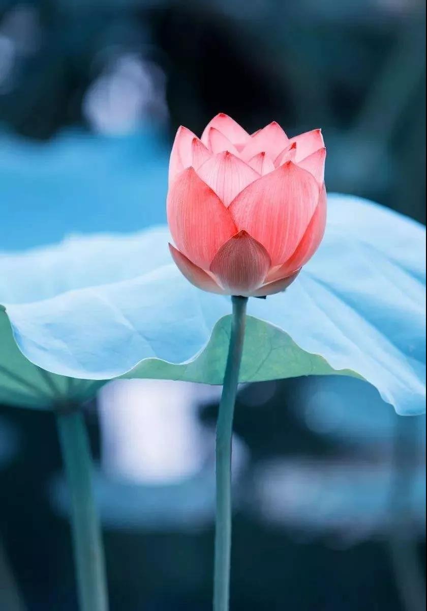 静下来,找到适合自己的生活 静下来,找到适合自己的生活