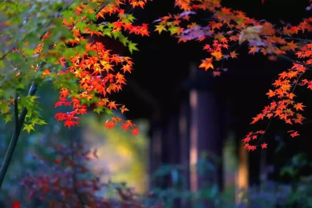 静下来,找到适合自己的生活 静下来,找到适合自己的生活