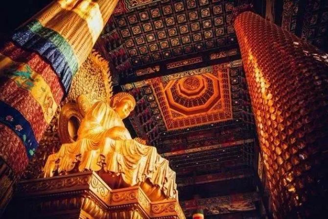 �����������������ο����ˣ�