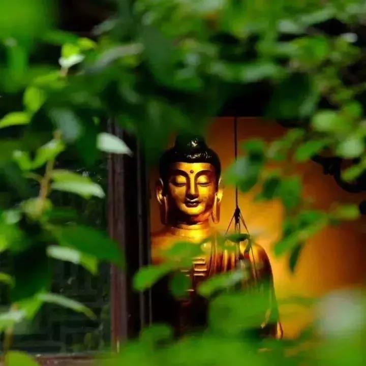 һ����ʦ����ʮ�����������ϰ_��ǿ���Ƽ�����