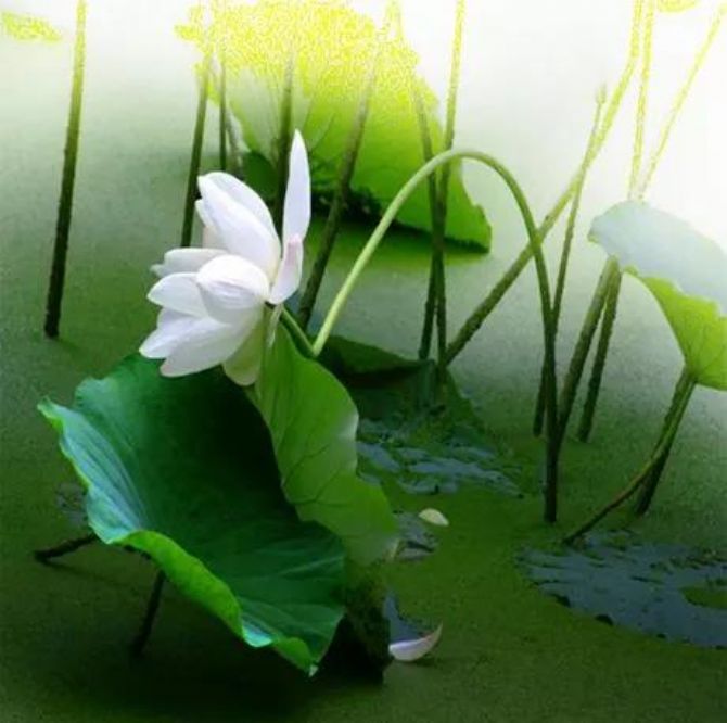 һ����ʦ����ʮ�����������ϰ_��ǿ���Ƽ�����