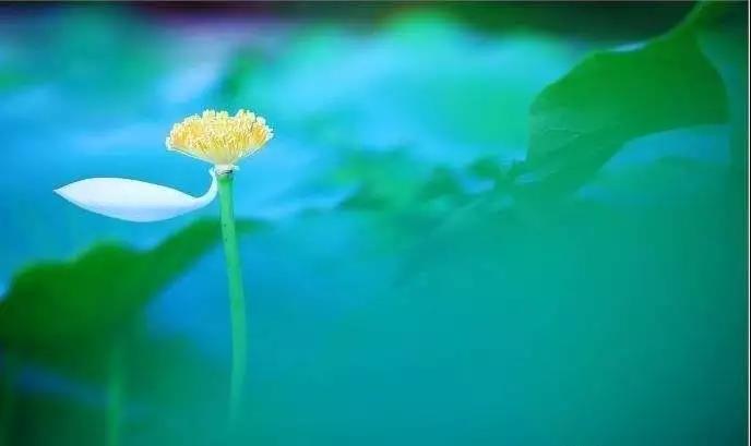 һ����ʦ����ʮ�����������ϰ_��ǿ���Ƽ�����