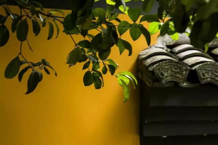 �ı��������̬�����������ܹ��ı�