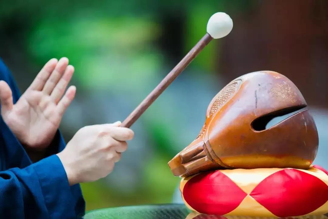 现在人学佛,度人未成,反被人度去! 现在人学佛,度人未成,反被人度去!