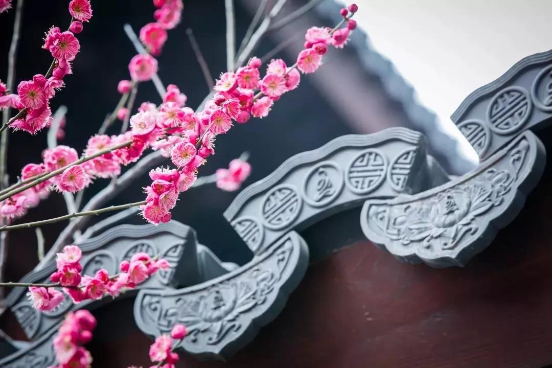 ���˲�һ���кñ���Ϊʲô���ǻ�Ҫ���ƣ�