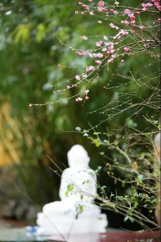 涅槃和轮回的区别是什么呢? 涅槃和轮回的区别是什么呢?