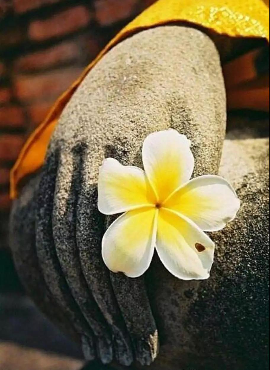 �����������У������������������ĵ���