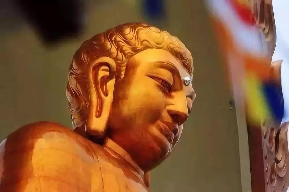 �q���ʦ�������_ѧ�������濴��...