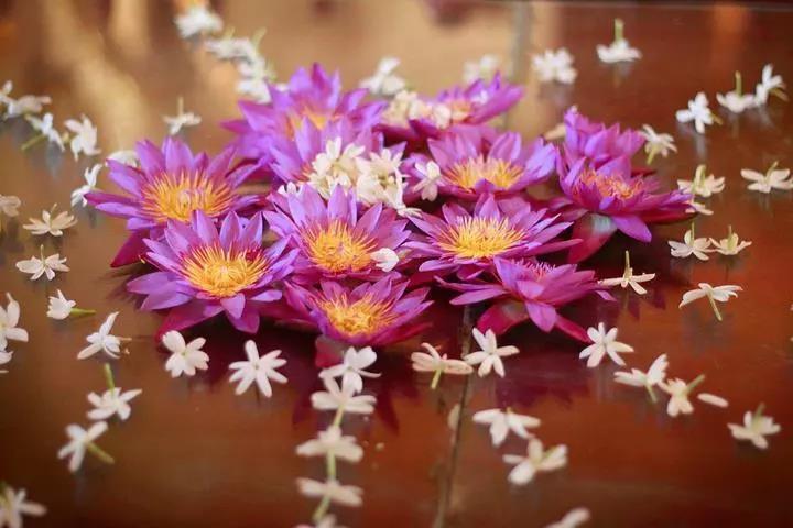 ��������������ĵ�״̬��ȡ����������ĵĿ��Ƴ̶�...