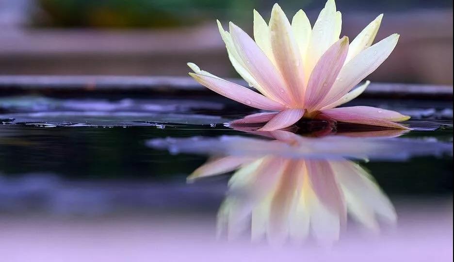 �����е������ʲô�����ĸ���ʲô���ľ�