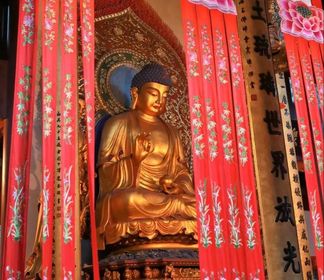 �����������ɷ����棬��Щ������������