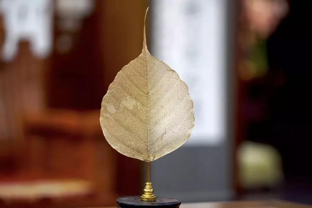 善用其心,具足一切胜妙功德 善用其心,具足一切胜妙功德