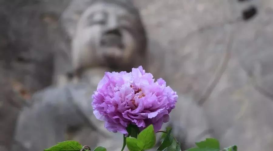 ��ҵ���������ҵ����������ֱ���