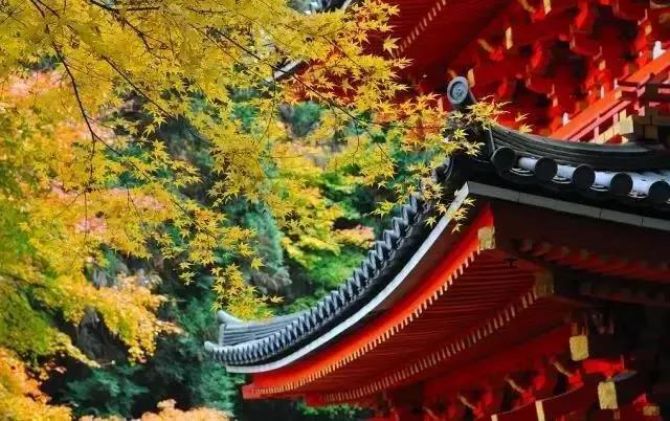 ����������ǿ�ҵ�ʱ�������÷���Ӧ��