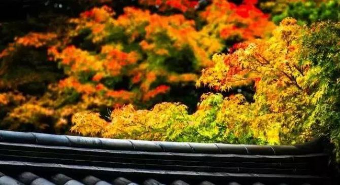 ����������ǿ�ҵ�ʱ�������÷���Ӧ��