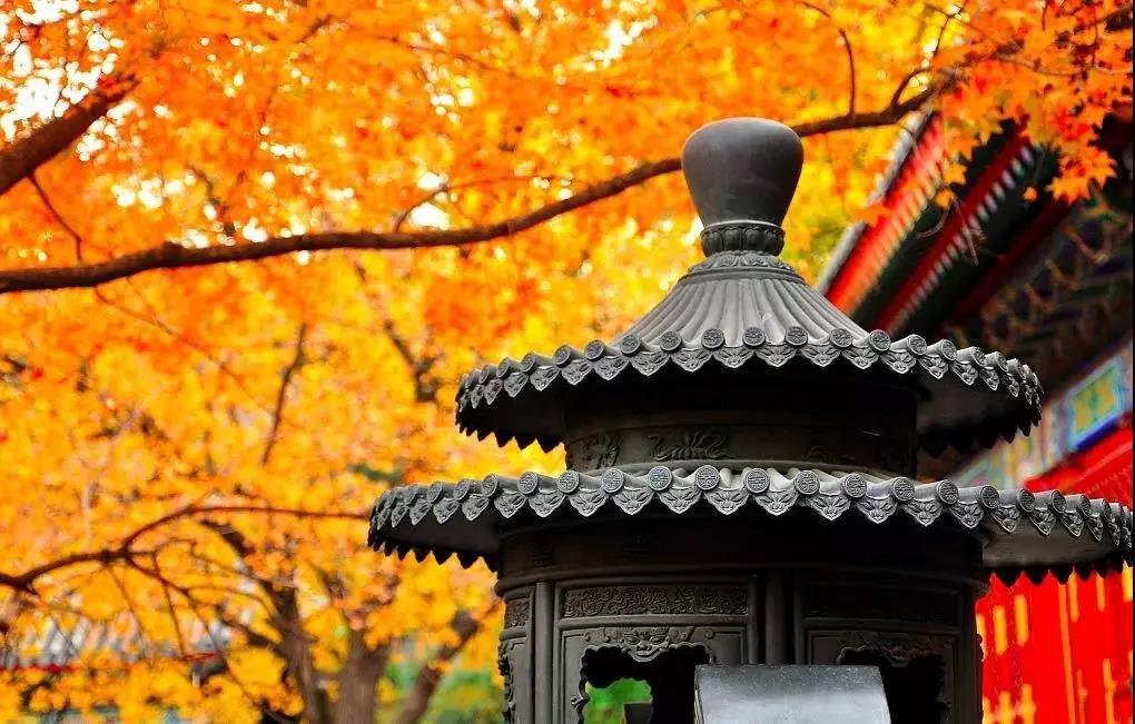 ����������ǿ�ҵ�ʱ�������÷���Ӧ��