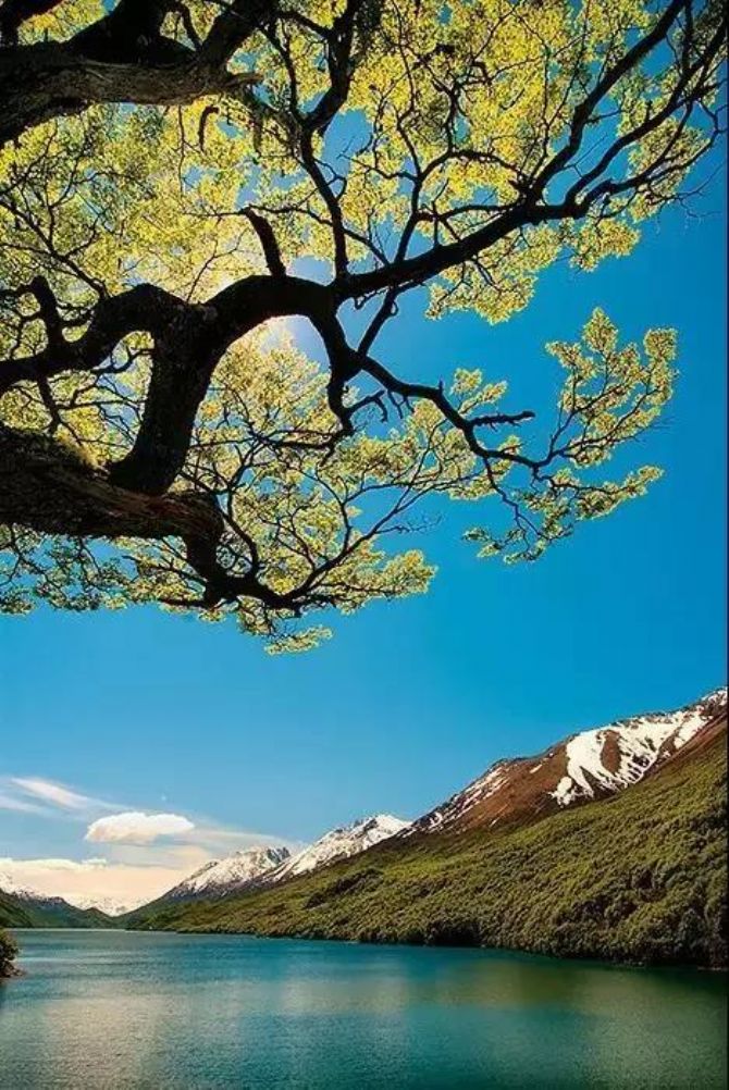 ����������ǿ�ҵ�ʱ�������÷���Ӧ��