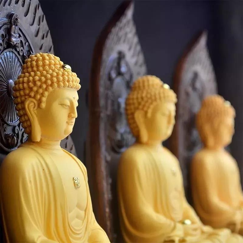 ӡ�ⷨʦ������������Ը�����������һ��������