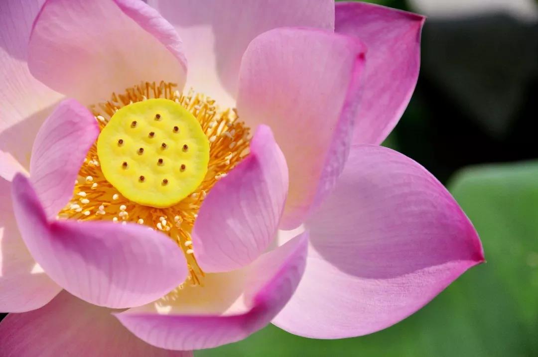 ѧ����Ϊ��ʲô��ѧ���벻��ʲô��