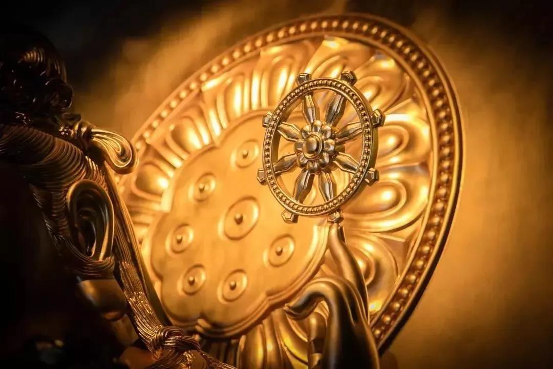 ��ѧ���ϣ���ѧ��������Ӧ����ô�¹���