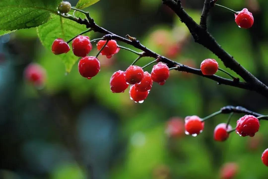 ��ô�����÷���ӣ�_���Ī�������Ʒ��У�