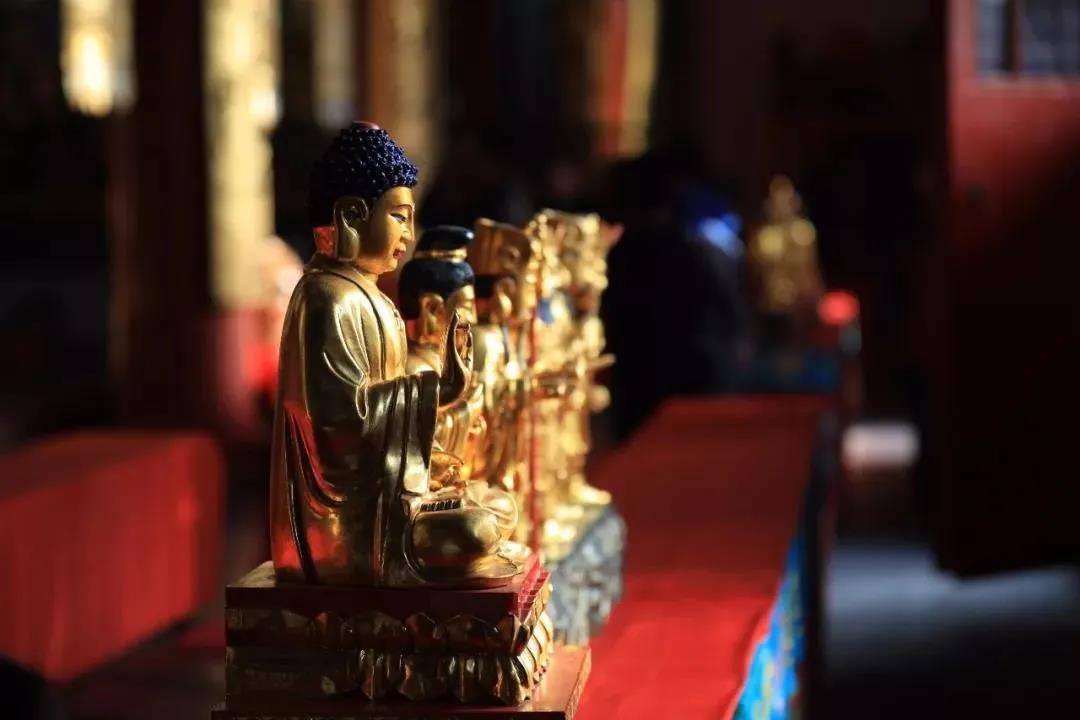 念阿弥陀佛,不要求快,不要求数字 念阿弥陀佛,不要求快,不要求数字