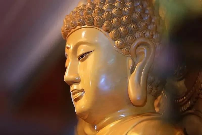 佛祖、如来、佛陀、世尊、释迦牟尼佛......这是同一尊佛吗? 佛祖、如来、佛陀、世尊、释迦牟尼佛......这是同一尊佛吗?