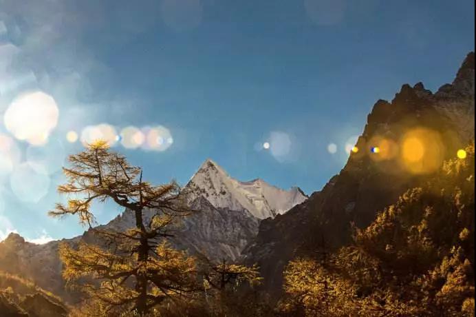 ���У�ֻ�趮��_�������š�