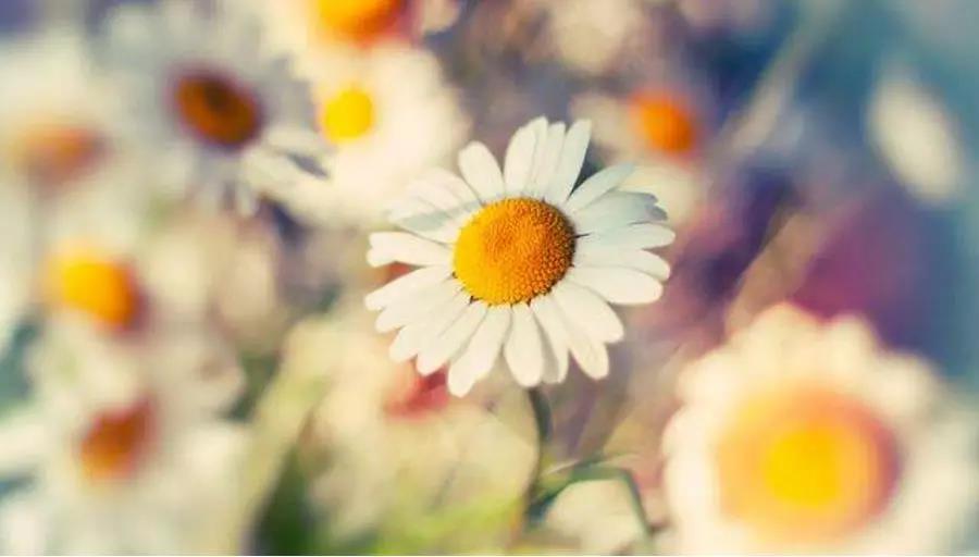 人生渺渺,世事茫茫,你信仰什么? 人生渺渺,世事茫茫,你信仰什么?