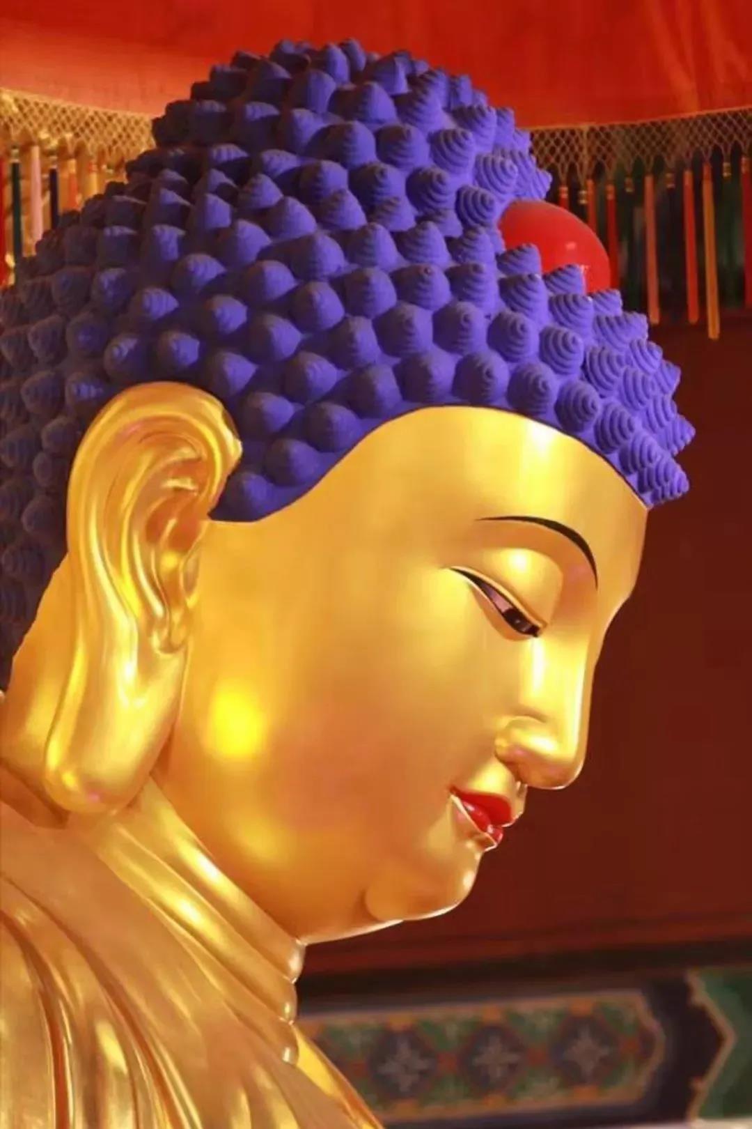 ��ӭ����Ĳ�������գ���Ը�������ԣ����������֣�