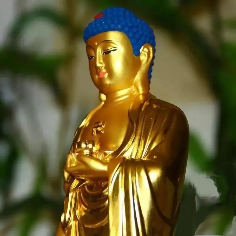 念佛的你,只需活在弥陀的眼光中! 念佛的你,只需活在弥陀的眼光中!