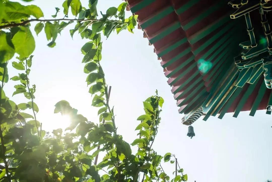 �˿������ʲô���ӣ����˲�¶�࣬¶�������