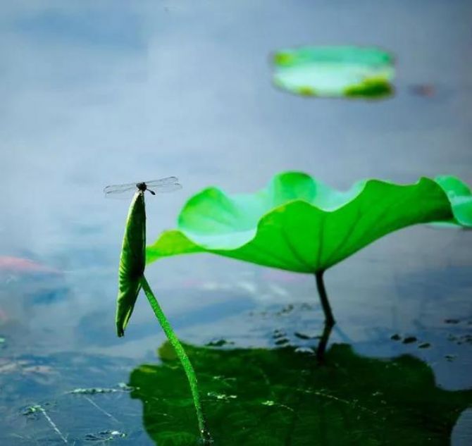 临终时佛会来接引我吗?3个故事告诉你答案 临终时佛会来接引我吗?3个故事告诉你答案