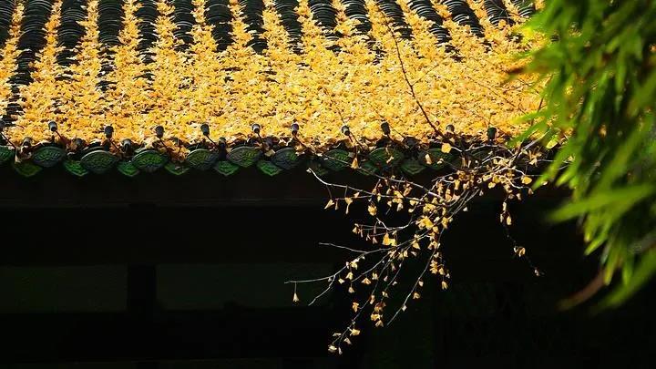 ����������΢�����ǧ�����������������еġ��١�������ʲô��