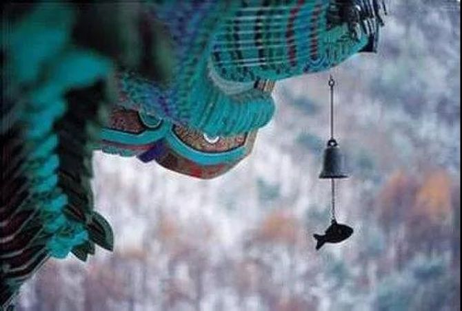 �����Ϻ��е����ؿ��ԣ����ܼ�����