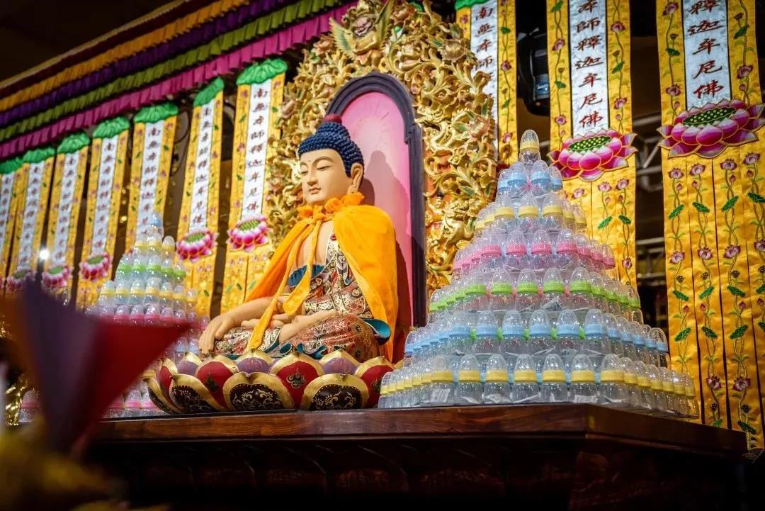 �����ֻ��������������������鶼������