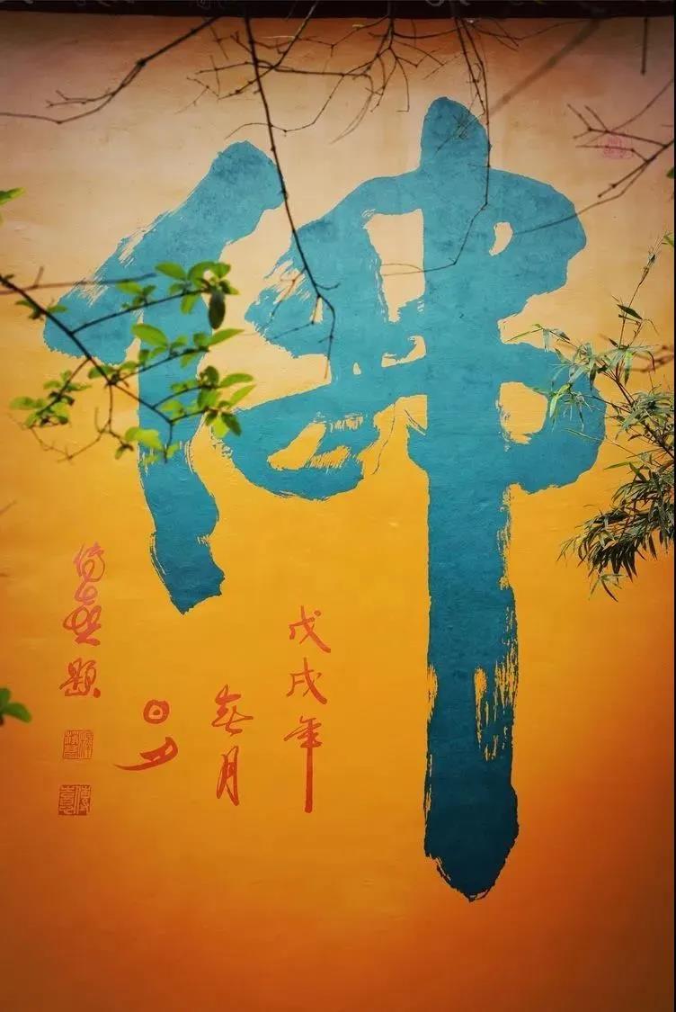 �����ֻ��������������������鶼������