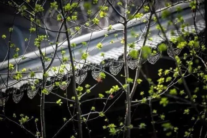 念佛修行路上的两大歧途,不可不知! 念佛修行路上的两大歧途,不可不知!