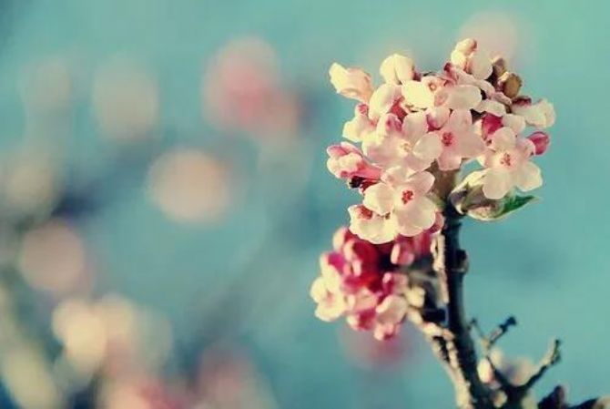 佛教中的“劫”究竟是什么,到底能否躲得过? 佛教中的“劫”究竟是什么,到底能否躲得过?