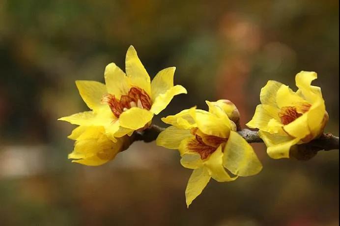 �ı�ϰ�ߣ����ܸı�����