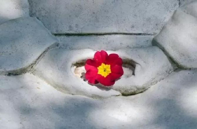 女人为什么有贫富贵贱和美丑? 女人为什么有贫富贵贱和美丑?