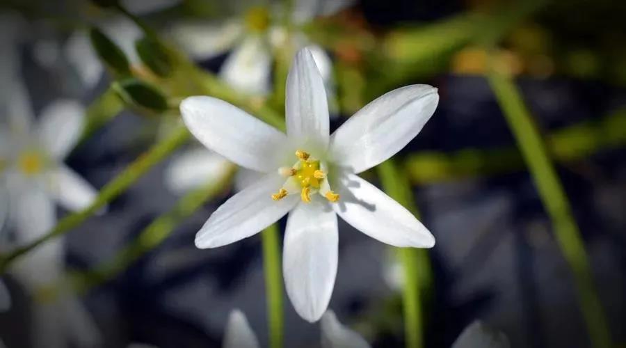 女人为什么有贫富贵贱和美丑? 女人为什么有贫富贵贱和美丑?