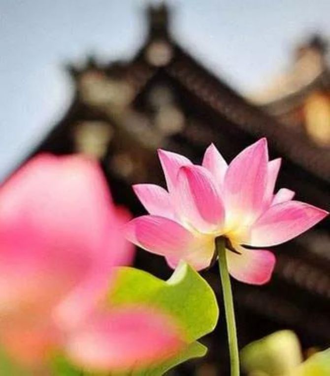 ��Ҫ�ӵ�������Ҫ��ɶ���