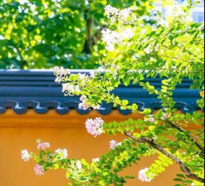 ǧ��ҪС��������ް����ӷ�