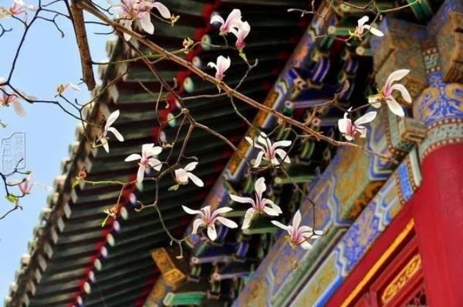 ����Ƿ�������ǿ����Ķ���������