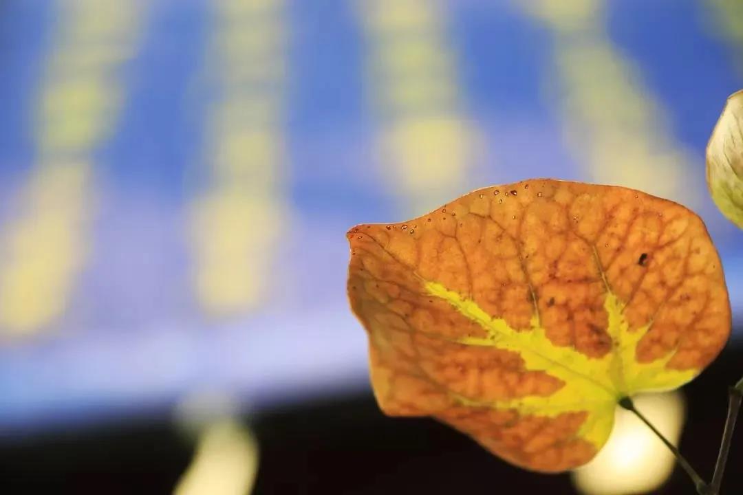 心情好心情坏,佛问你“心”究竟在何处? 心情好心情坏,佛问你“心”究竟在何处?