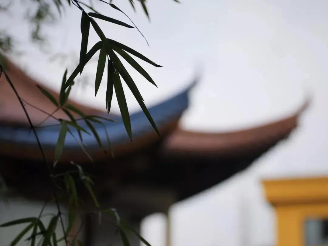 һ��֮����������ֻ�