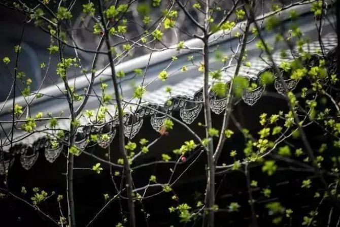 �˸������С����ϼӴ���������