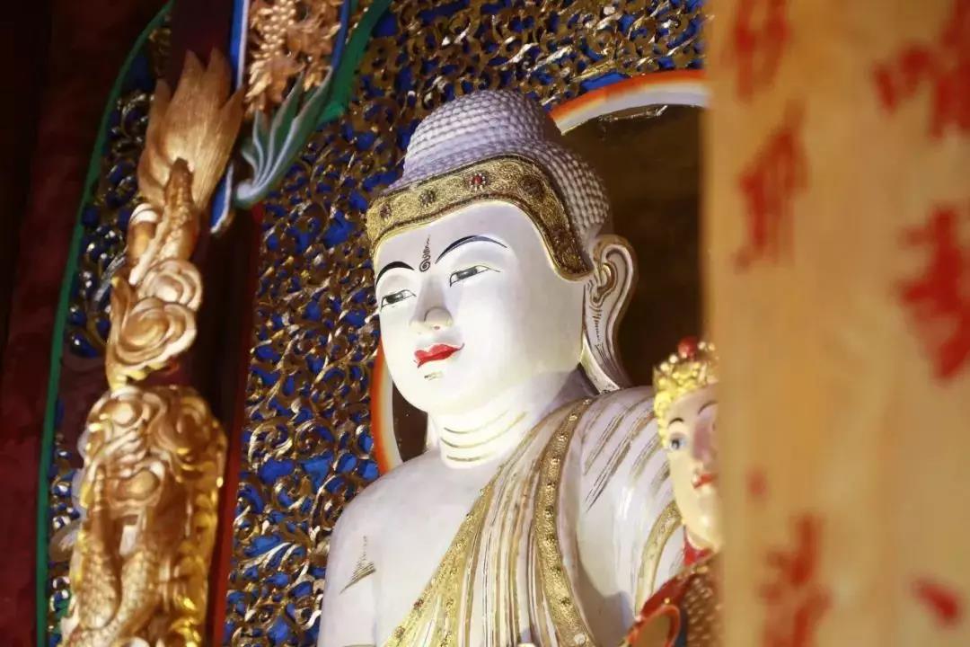 印光法师:解脱之门,唯有信愿念佛,求生西方一法 印光法师:解脱之门,唯有信愿念佛,求生西方一法